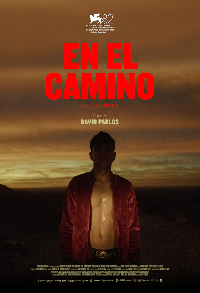 En el Camino poster